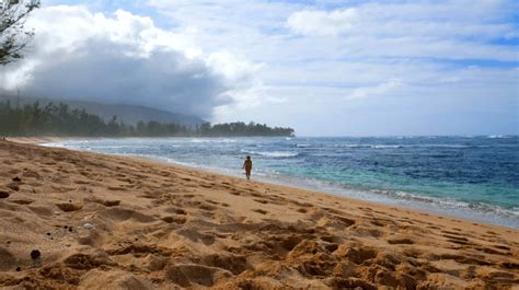 nude beach oahu|POLO BEACH